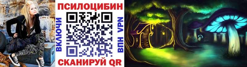 купить наркотики цена  Агрыз  Галлюциногенные грибы Psilocybine cubensis 