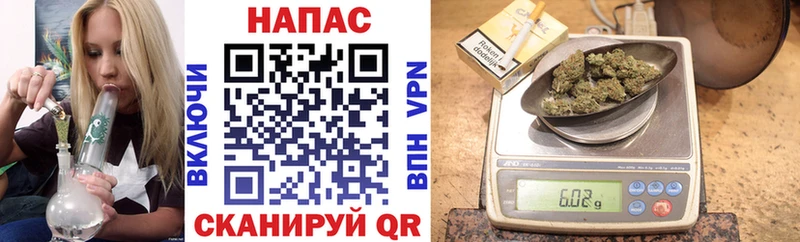 Каннабис сатива  купить наркотики сайты  OMG как войти  Агрыз 